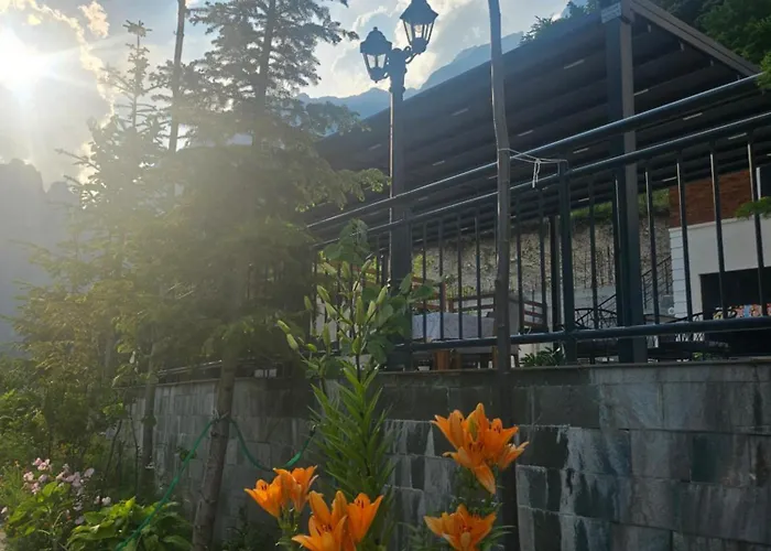 4 Stinet 4* ולבונה